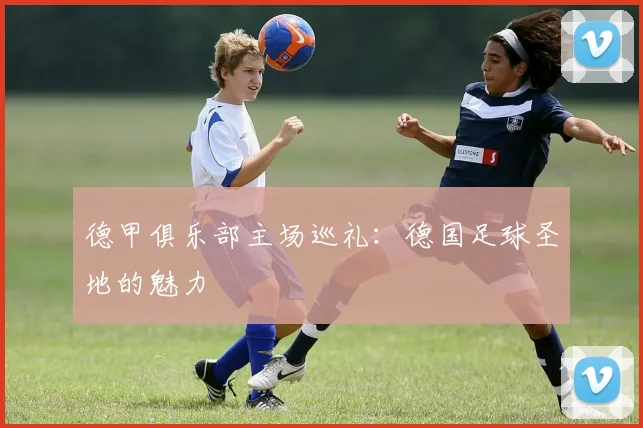 德甲俱乐部主场巡礼：德国足球圣地的魅力