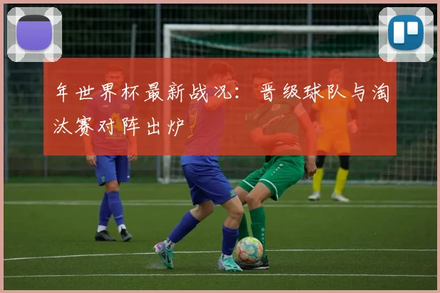 年世界杯最新战况:晋级球队与淘汰赛对阵出炉