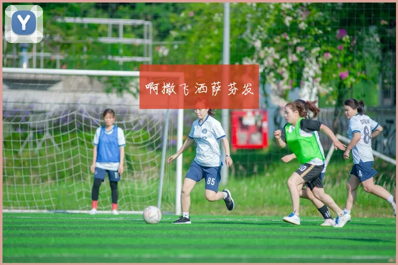 2026世界杯冠军预测:黑马的崛起是注定还是偶然